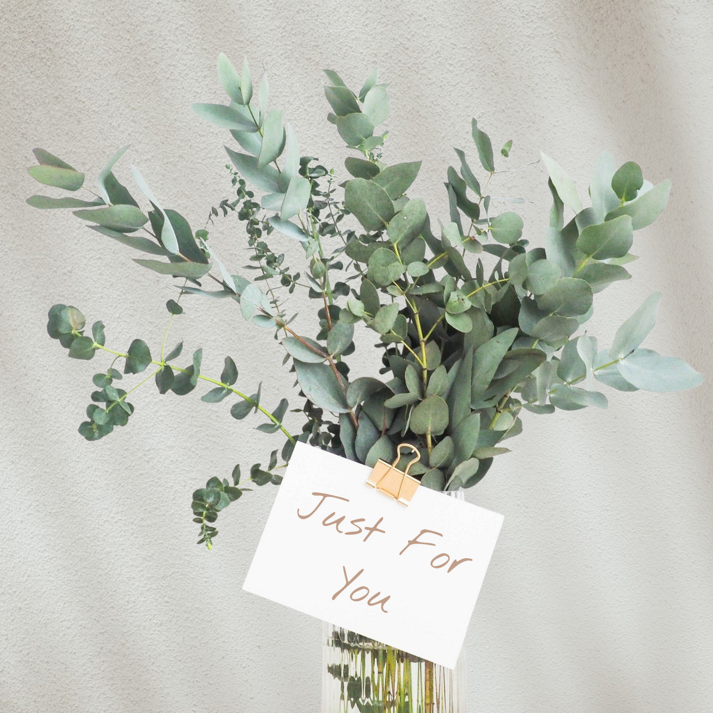 The Clay Shed Gift Vouchers