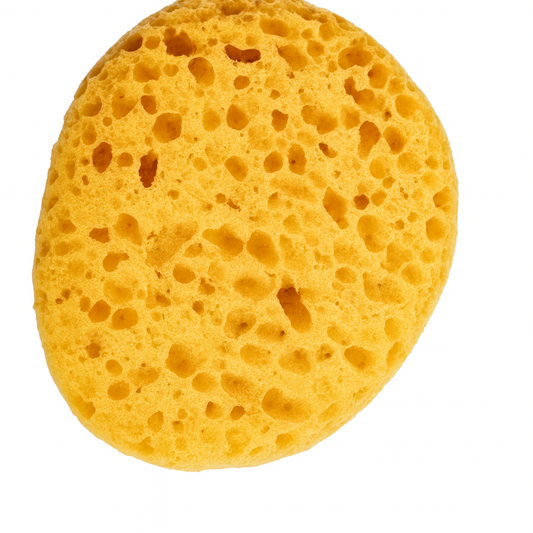 Texturing Sponge